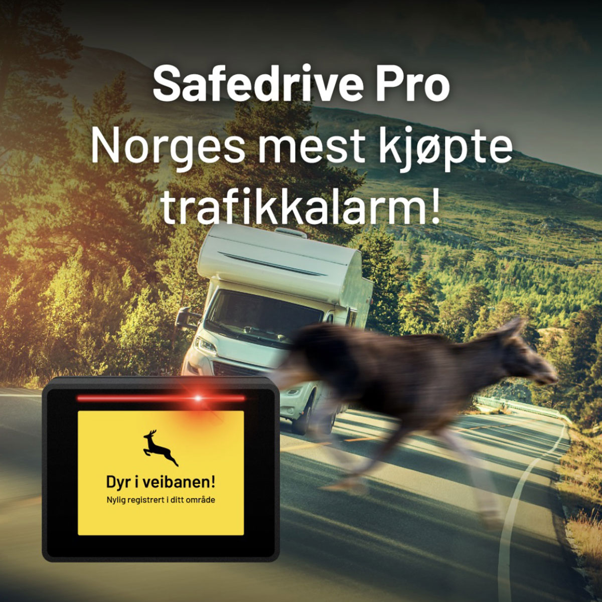 Read more about the article Safedrive
